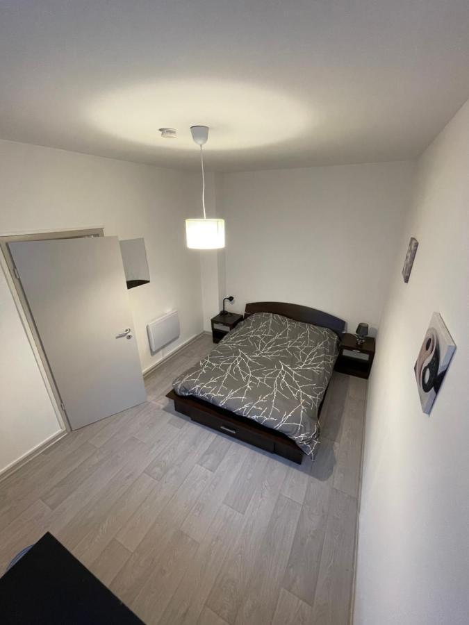 Superbe Appartement Renove Au Centre De Forbach Eksteriør bilde